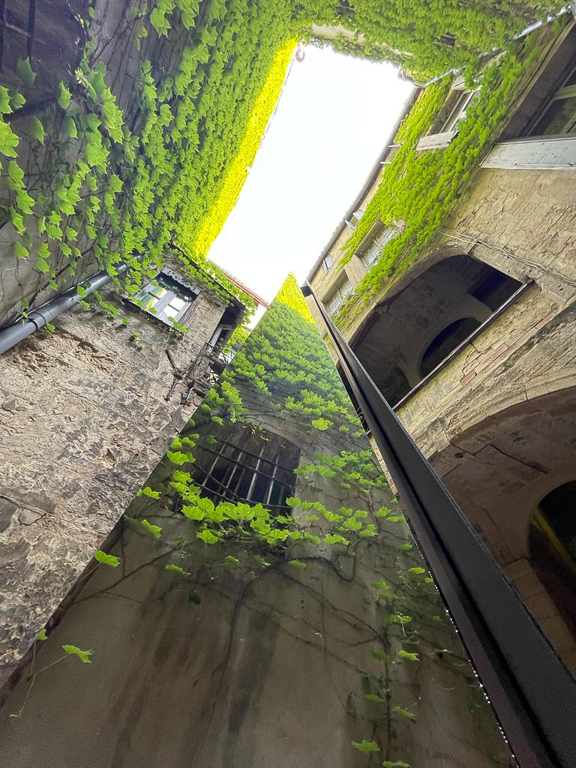 Photo projet vers le ciel